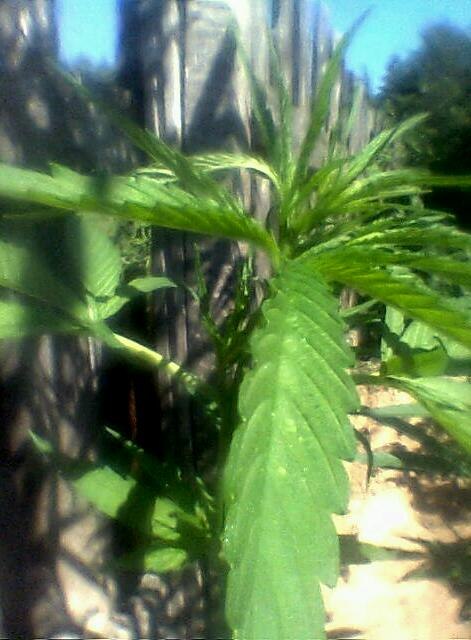 Яночка Соболева фотография #6