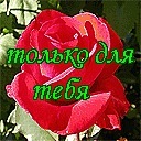 Андрій Карпо фотография #35 (источник - https://vk.com/id153991281)