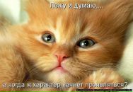 Олічка Кирик фотография #2 (источник - https://vk.com/id165038176)