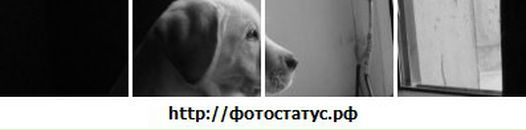 Іванна Майданська фотография #29 (источник - https://vk.com/id85635594)