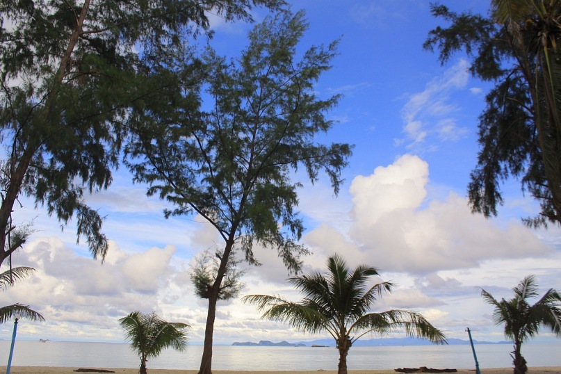 Den Dzo фотография #27