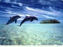 Фотография Савельевой Юлии