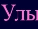 Рома Гуріненко фотография #1