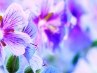 Оксана Коптєва фотография #7 (источник - https://vk.com/id162272161)