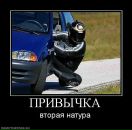 Фотография Кириллова Кирилла