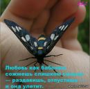 Ірина Маланкевич фотография #28 (источник - https://vk.com/id81044718)