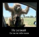 Наталія Дмитришин фотография #14 (источник - https://vk.com/id66104540)