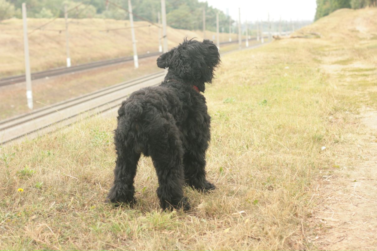 Slash Dot фотография #36