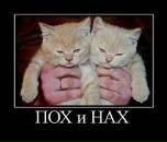 Фотография Плющъ Лерки