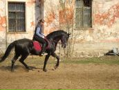 Фотография Иванович Ирины