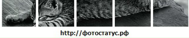 Лора Філіпова фотография #25 (источник - https://vk.com/id104313600)