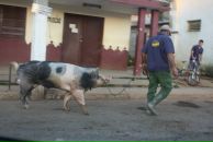 Фотография Андрусова Михаила