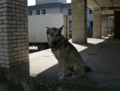 Фотография Матвеевой Оксаны