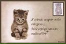 Мішка Коновалов фотография #47 (источник - https://vk.com/id405549171)