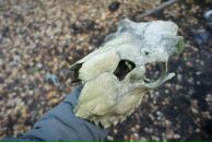 Фотография Яцевича Андрея