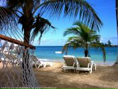 Фотография Нестеровой Светланы