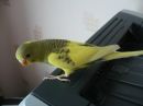 Фотография Игнатьевой Ксении