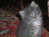 Фотография Вихровой Юлии