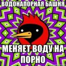 Фотография Зонова Ярослава