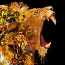 Фотография Копы-Овдиенко Владимира