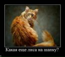 Фотография Князевой Анны