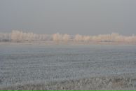 Yuri Bishaev фотография #9 (источник - https://vk.com/id770221)