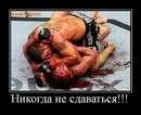 Фотография Ян Шевцов