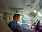 Фотография Чайка Виктория