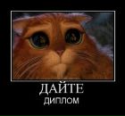 Олексій Кондратюк фотография #30 (источник - https://vk.com/id31037710)