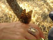 Фотография Кузнецовой Марины