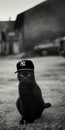 Фотография Шарапова Дмитрия