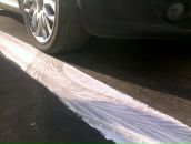 Фотография Еланского Владимира