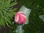 Сергій Дудін фотография #43 (источник - https://vk.com/id60860149)