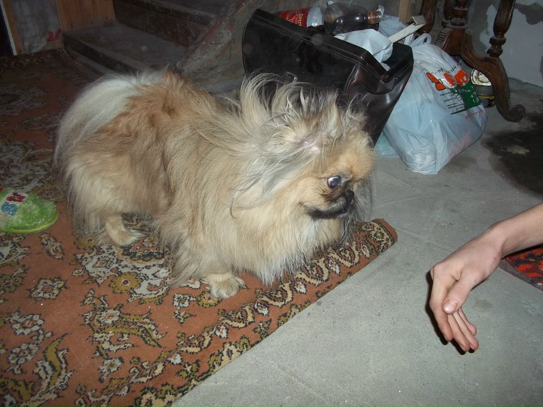 Алекс Ковалёв фотография #42