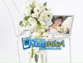 Фотография Моисеевой Анастасии