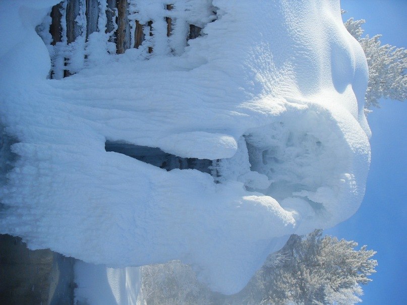 Дмитрий Ушаков фотография #40