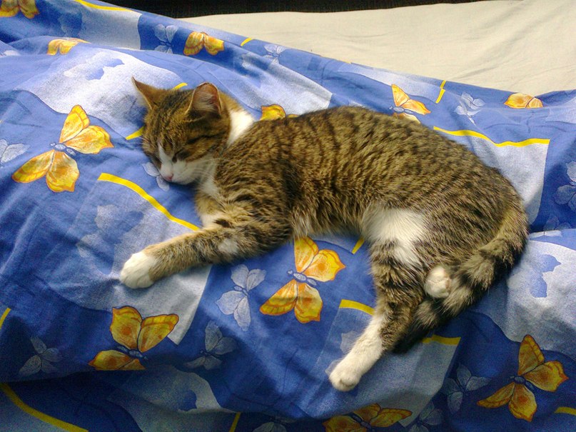 Дмитрий Халимов фотография #31