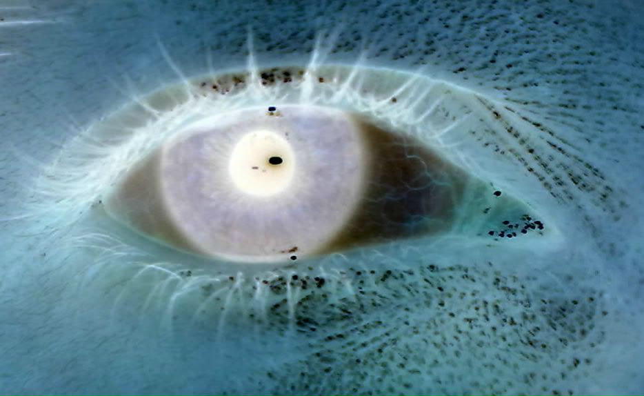 Иван Горбатенко фотография #27