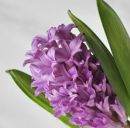 Юлія Ганжа фотография #49 (источник - https://vk.com/id168453202)