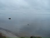 Фотография Некрасовой Юлии