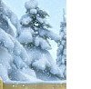 Соломія Турчиняк фотография #24 (источник - https://vk.com/id167653845)