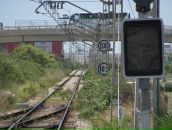 Иван Гришин фотография #22 (источник - https://vk.com/id3192283)