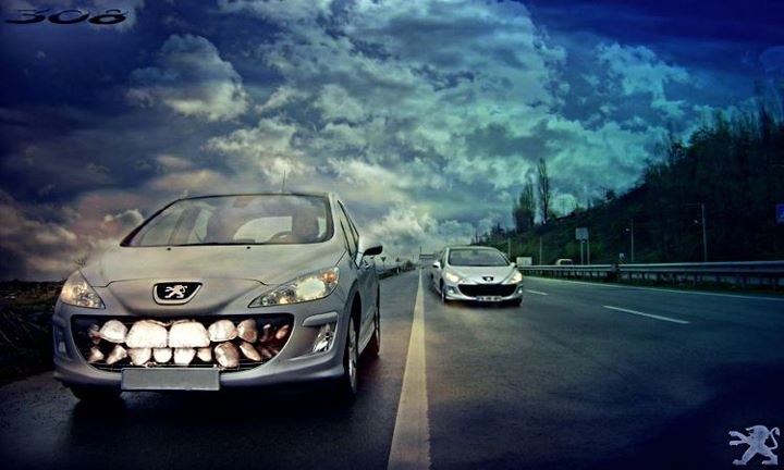 Тони Бонелли фотография #11