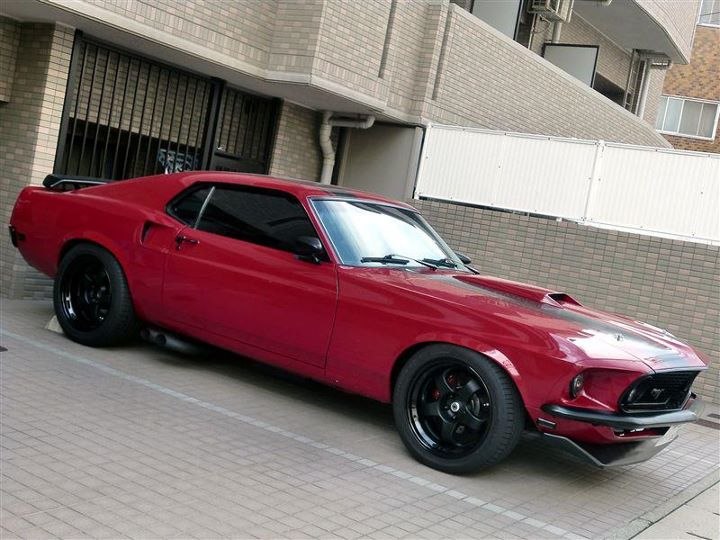 Тони Бонелли фотография #9