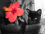 Фотография Пятковой Катерины