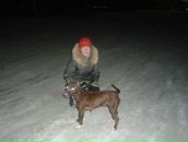 Фотография  