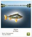 Дашка Квітка фотография #48 (источник - https://vk.com/id146343244)
