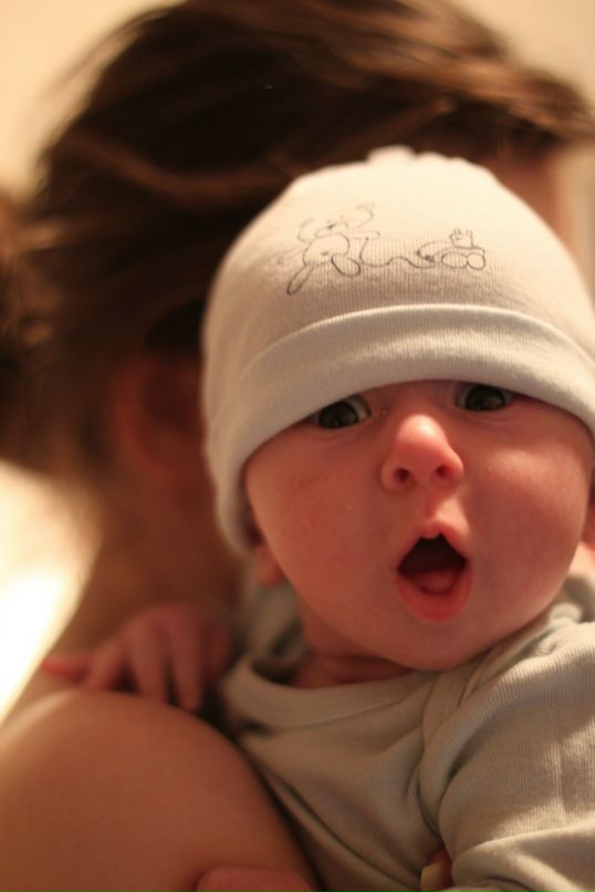 Дмитрий Квитка фотография #37