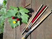 Фотография Шишкиной Натальи