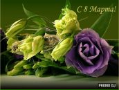 Elena Hellauri фотография #4 (источник - https://vk.com/id355830)